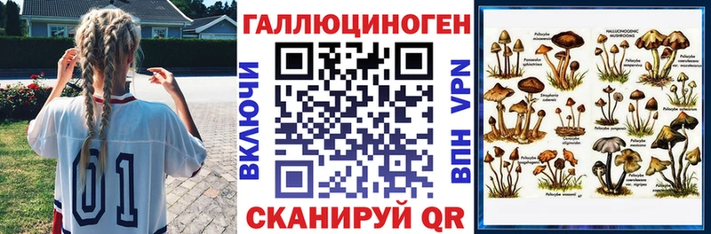 KRAKEN ссылка  наркотики  Алексин  Псилоцибиновые грибы Psilocybe 