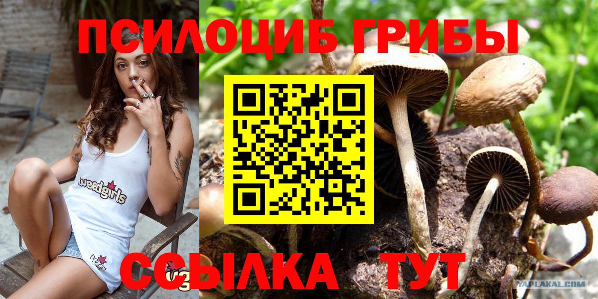 Алексин  Галлюциногенные грибы ЛСД  где можно купить   Вход с VPN 